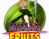Ninja Fruits